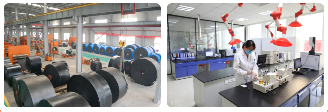 党建引领聚合力 创新驱动促发展——广饶县以新材料技术推广服务助推产业转型升级